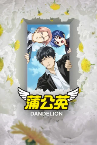 Bồ Công Anh - Dandelion